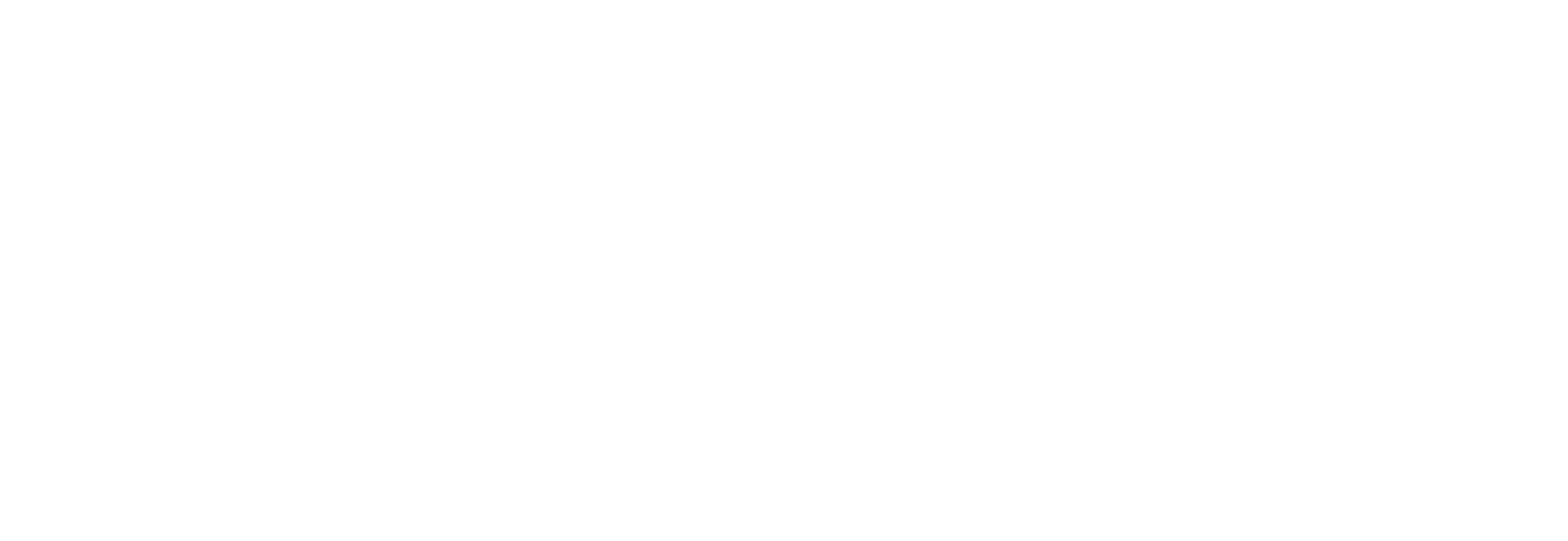 Texas Nationalist Movement